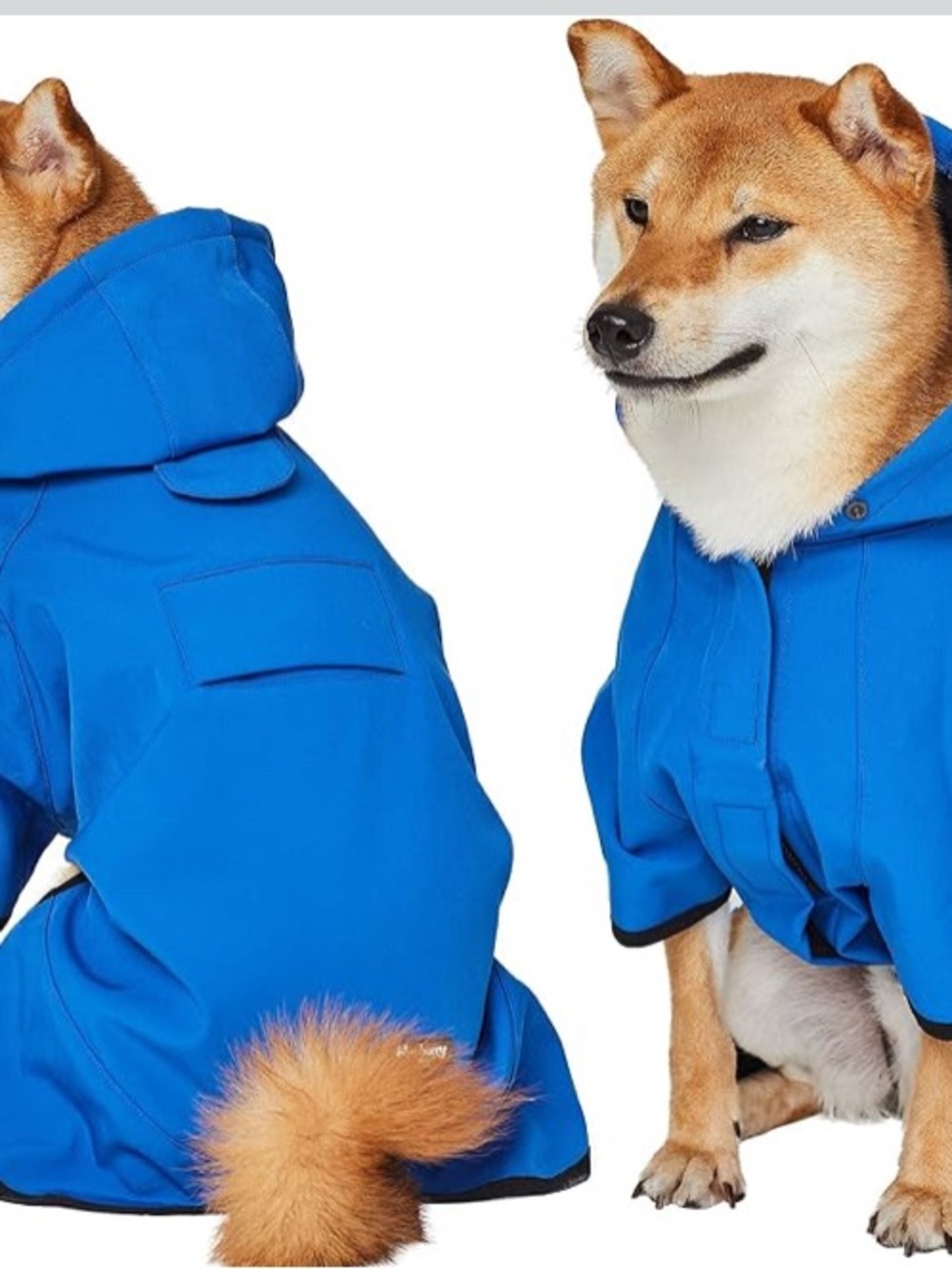 Bright Blue Waterproof Dog Rain Jacket with Hood